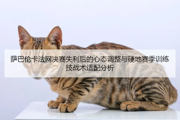 萨巴伦卡法网决赛失利后的心态调整与硬地赛季训练技战术适配分析